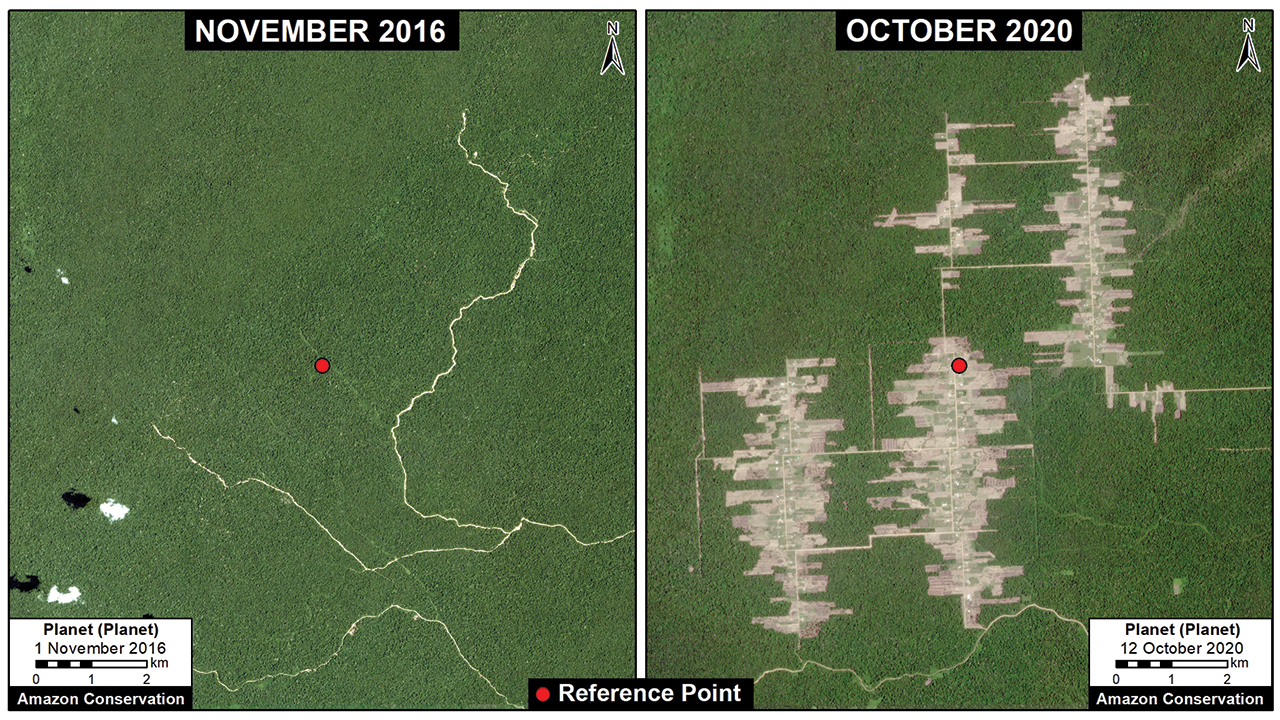 Deforestation totaling 5,370 acres has taken place between November 2016 and October 2020 at the Mennonite colony of Tierra Blanca 1 in Peru. — Monitoring of the Andean Amazon Project