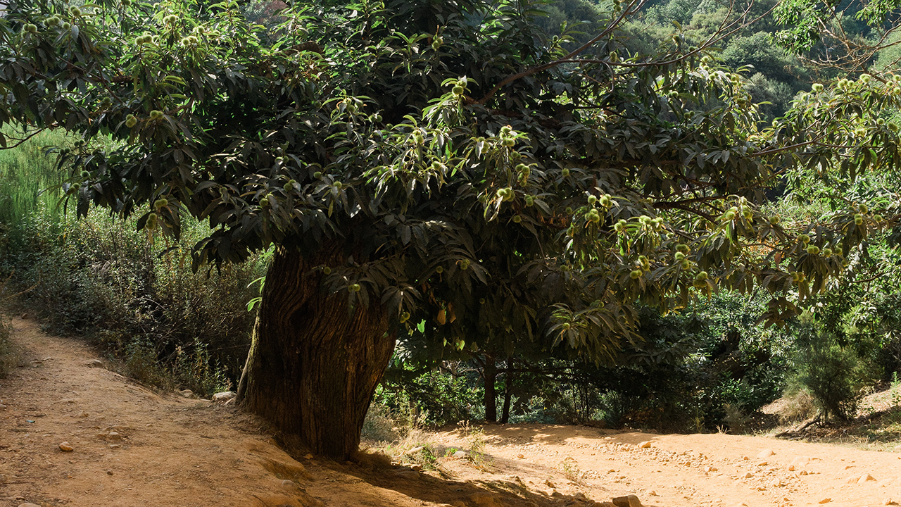 Photo provided by Sarah Kehrberg