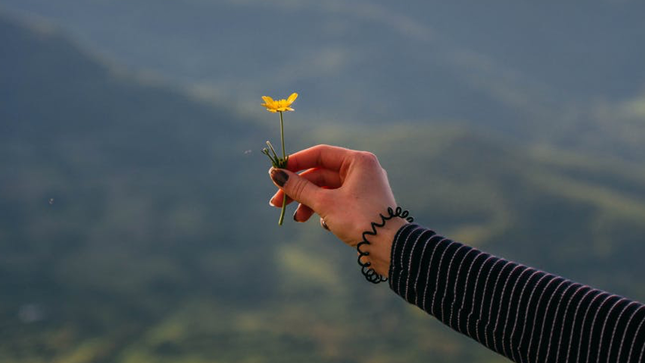 Photo: Vlad Bagacian, Pexels