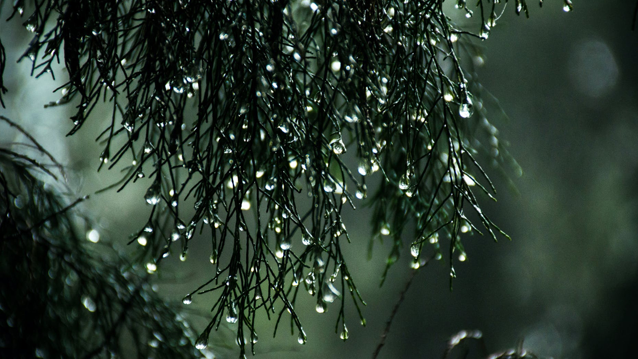 Photo: Sitthan Kutty, Pexels.