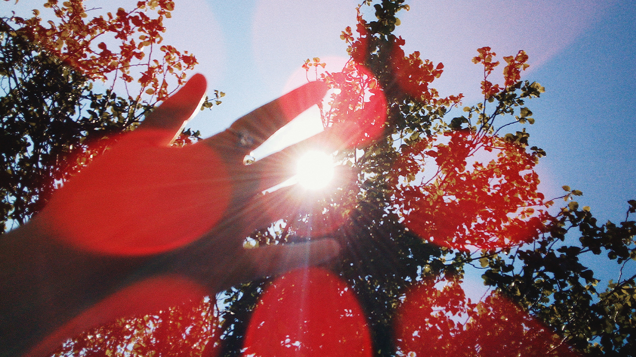 Photo: Lisa Fotios, Pexels.