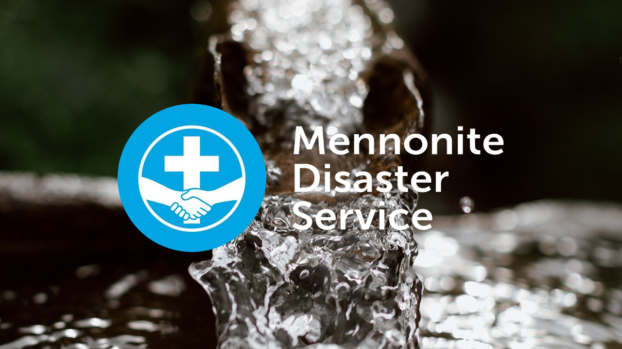 Photo: Eberhard Grossgasteiger, Pexels.