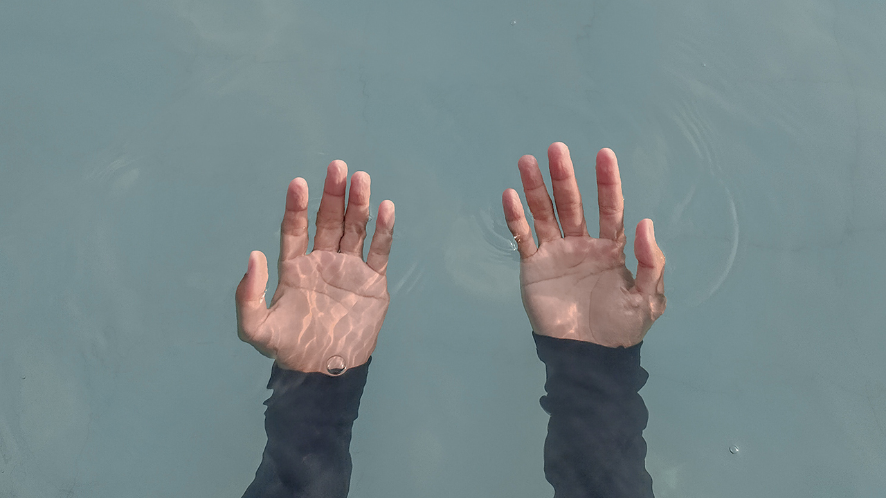 Photo: Hansskuy, Pexels.