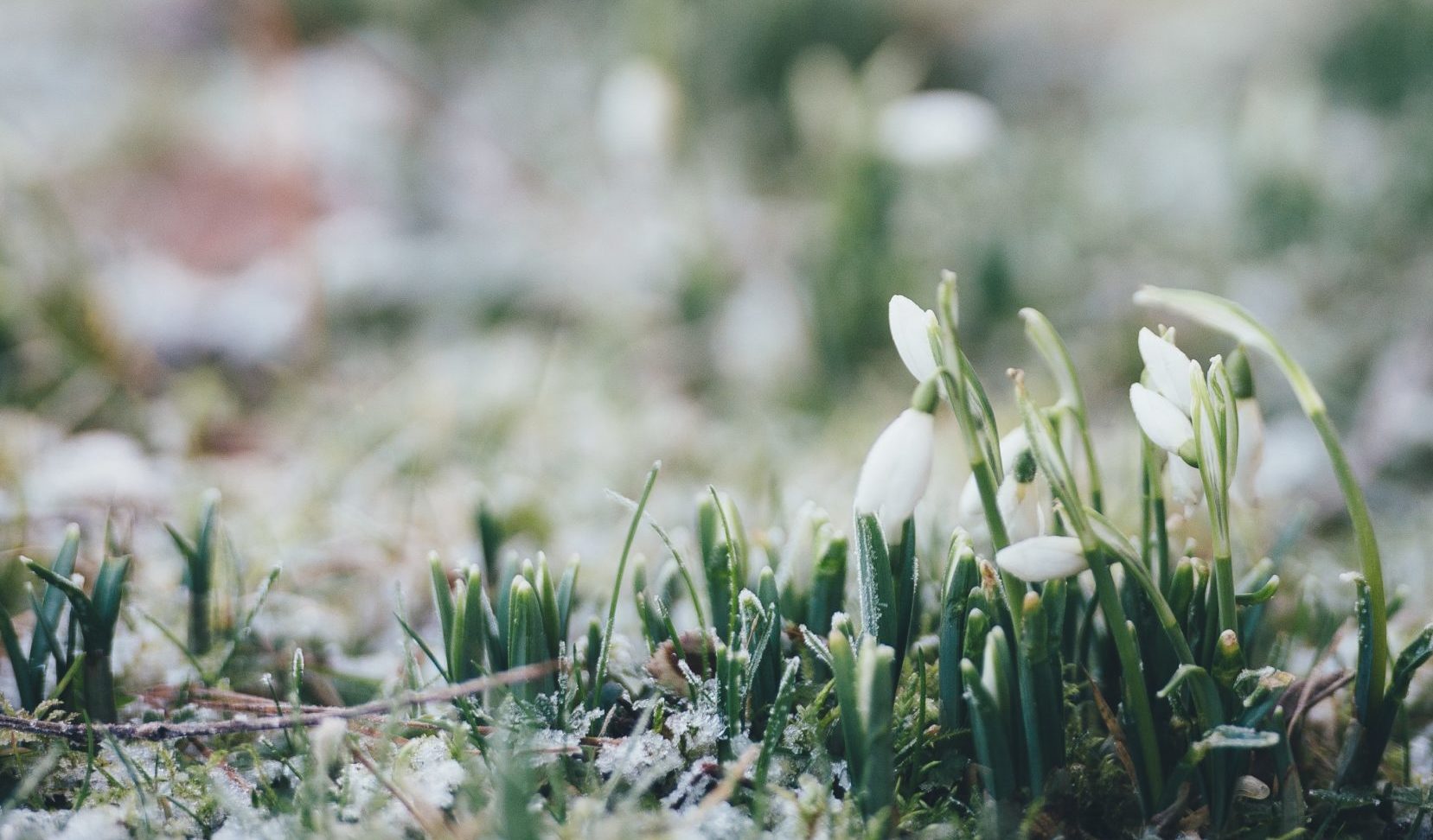 Photo by Annie Spratt from unsplash.com.