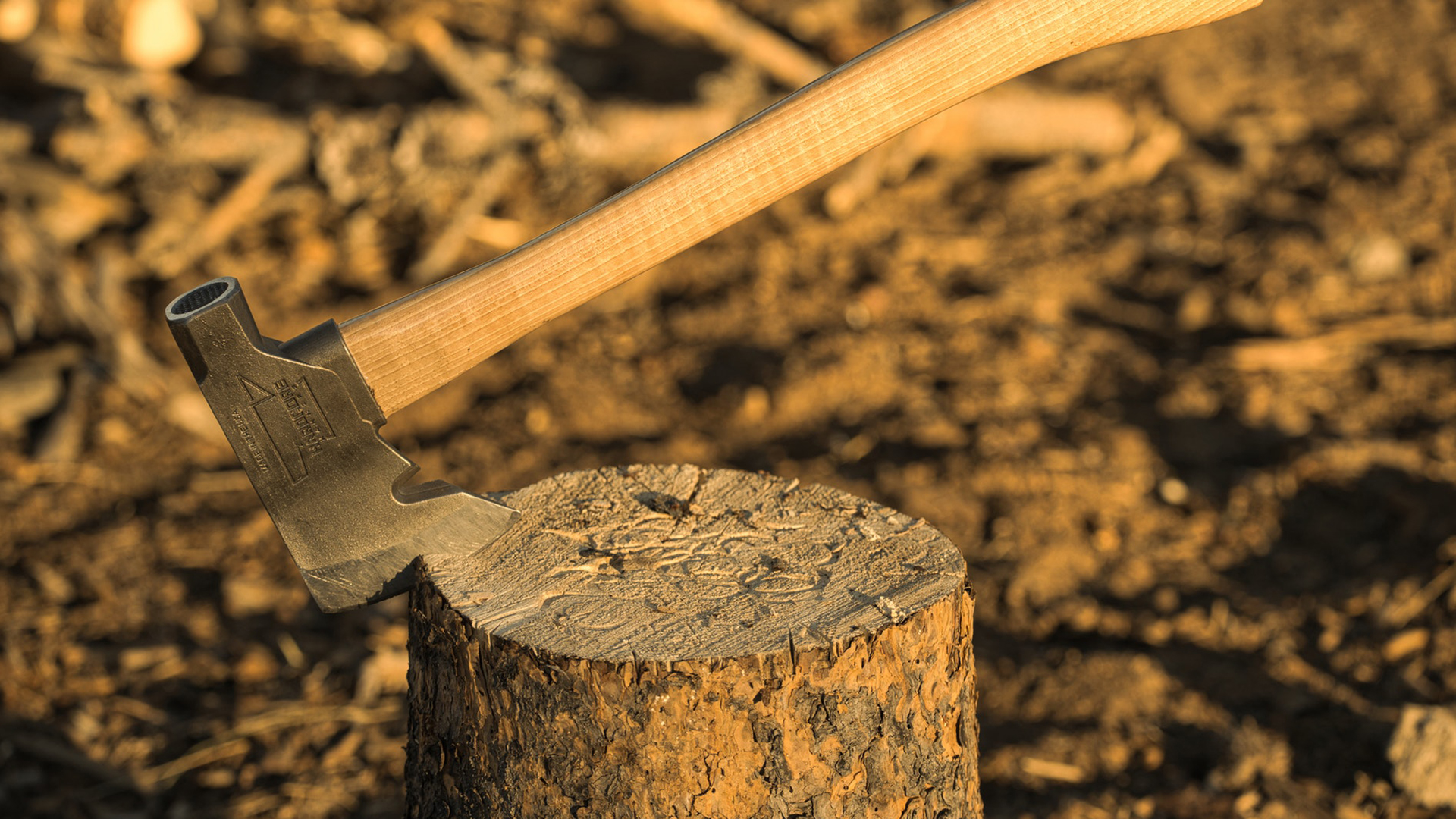 Photo: Troy Squillaci, Pexels.