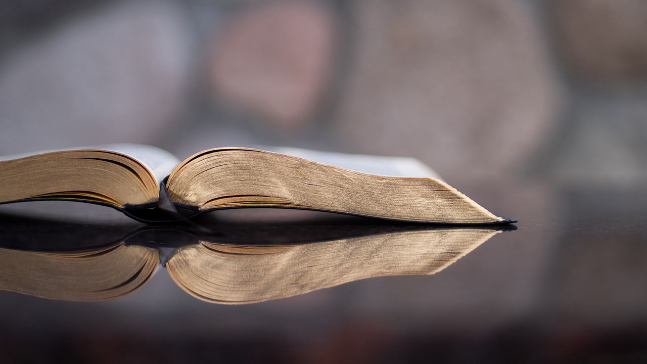 Photo: Aaron Burden, Unsplash.