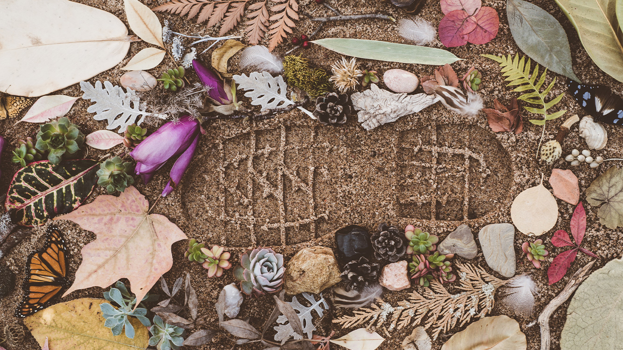 Photo: Evie S. Unsplash.