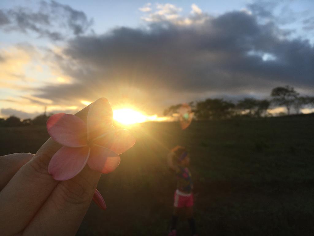 Flor niña. Foto por Wendy Vado.