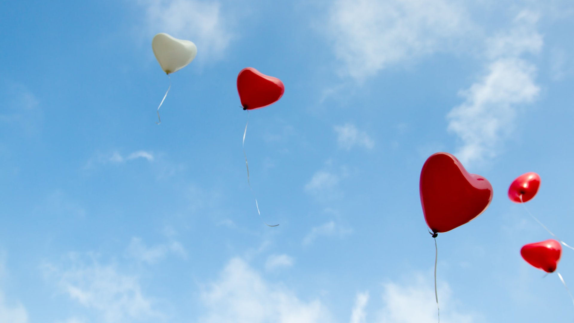 Photo: Christopher Beloch, Unsplash.