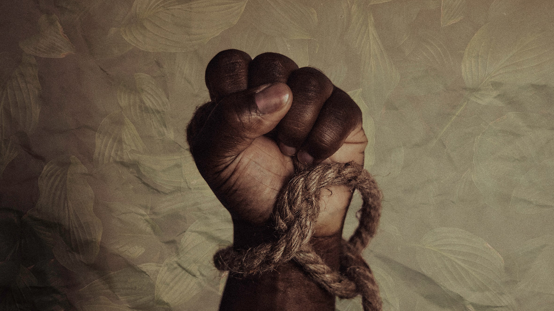 Photo: Tasha Jolley, Unsplash.