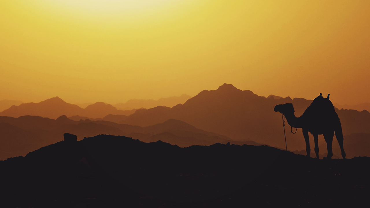 Photo: Mariam Solimanm, Unsplash.