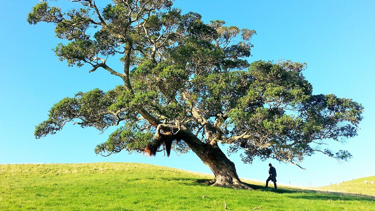 Photo: Gilly Stewart, Unsplash.