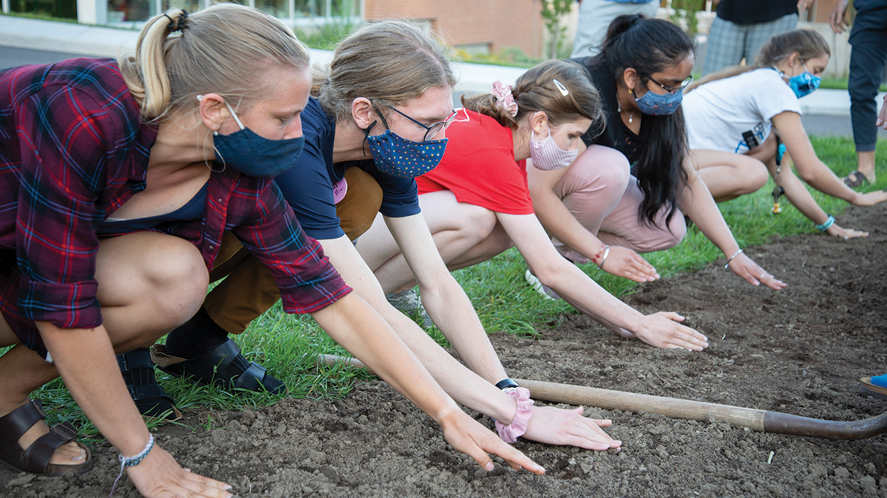 Conrad Grebel University College students plant cloves of garlic during orientation week in September to symbolize new beginnings. When it is harvested, there will be a garlic feast on campus, along with a donation to a food bank. — Jen Konkle/Conrad Grebel University College
