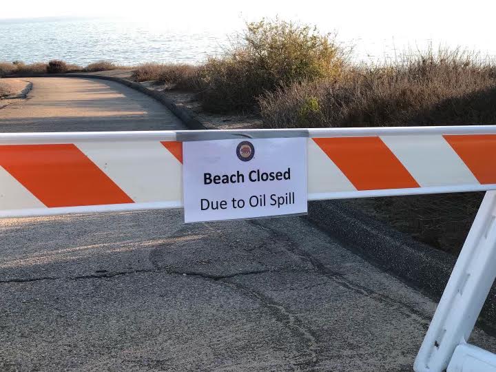 Photo by Kate Wentland, Crystal Cove Beach, CA