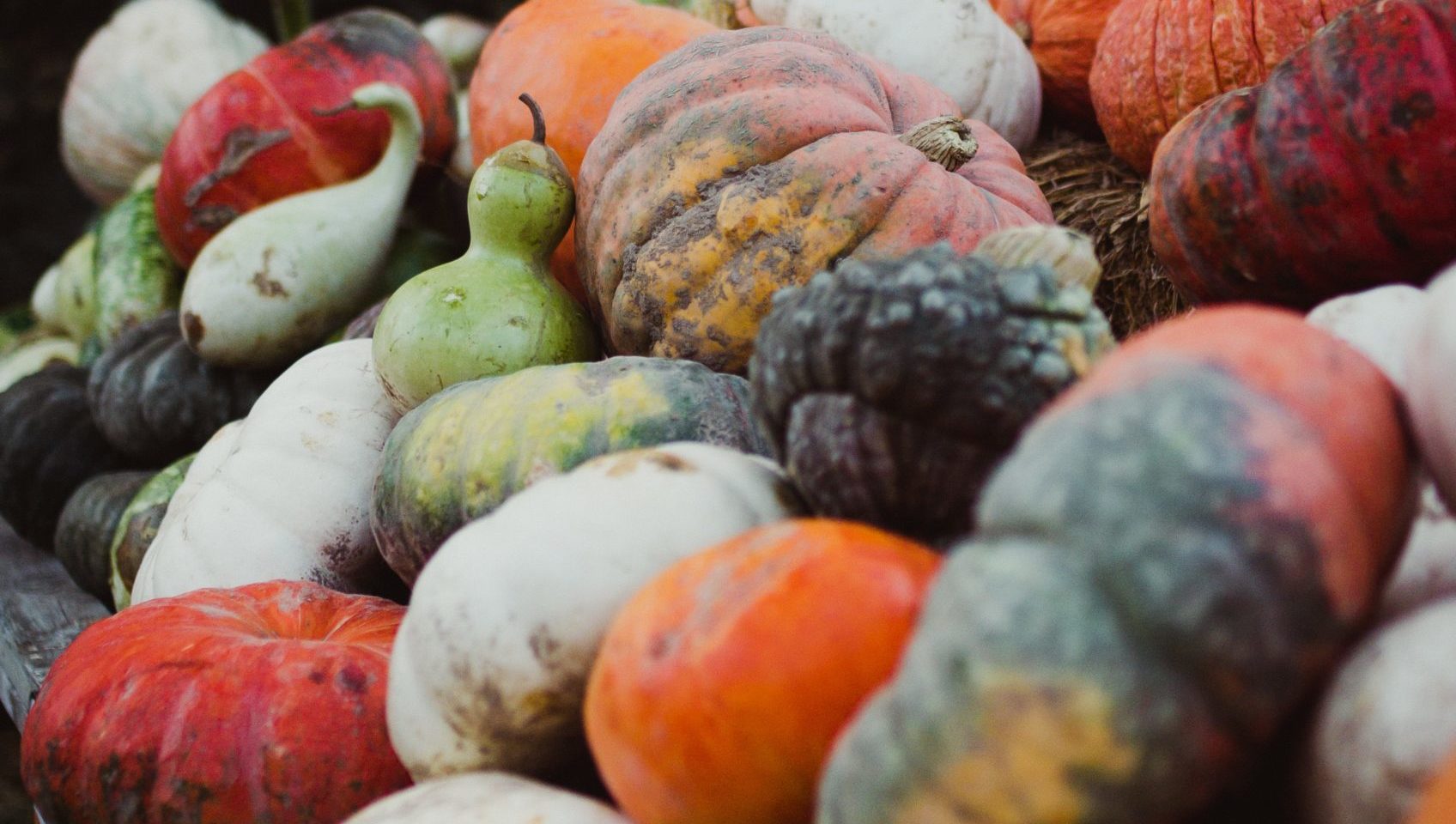 Photo by Riley Crawford from unsplash.com.