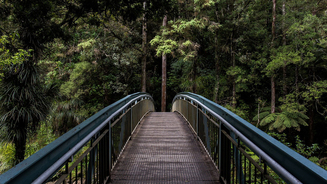 Photo: Tim Swaan, Unsplash.