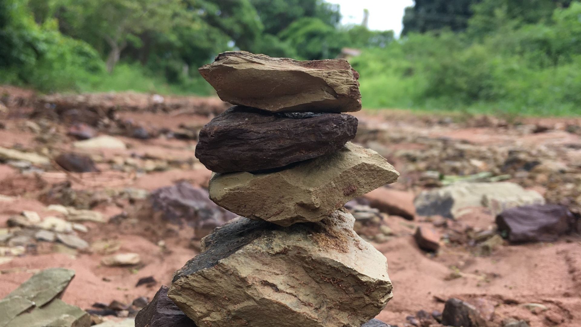 Foto tomada por Guisela Bravo.