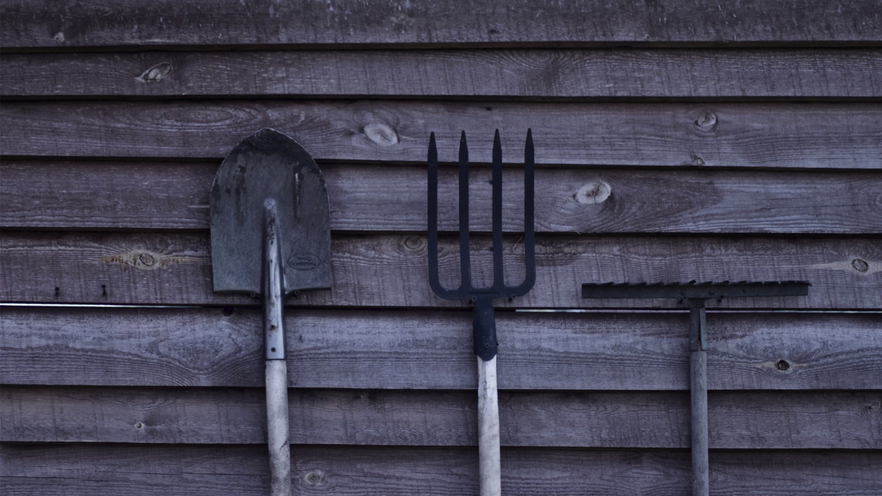 Photo: Nastya Kvokka, Unsplash.