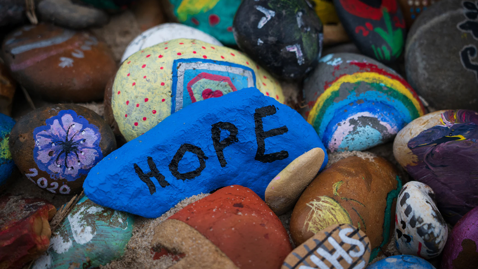 Photo: Nick Fewings, Unsplash.