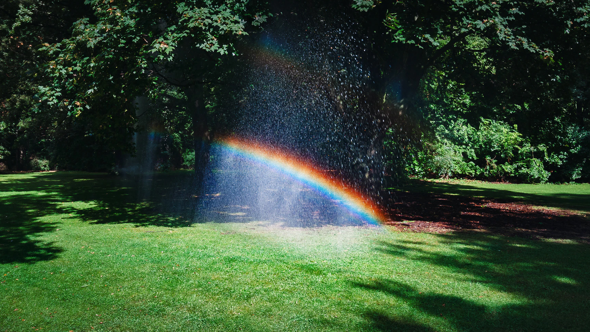 Photo: Alistair MacRobert, Unsplash.
