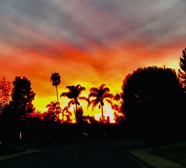 Looking down our street, Claremont, CA by David Augsburger.