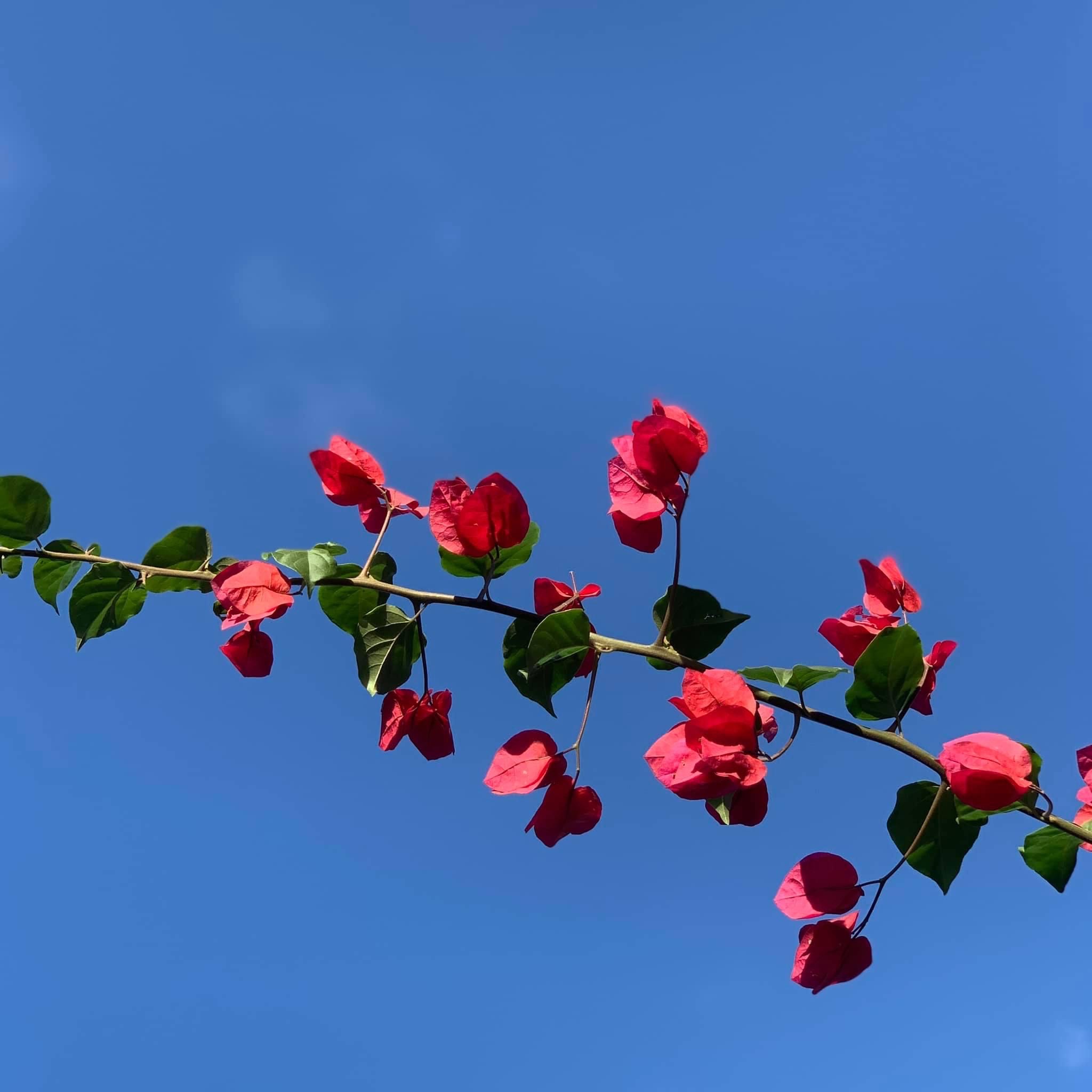 Foto por Genesis Hernández.