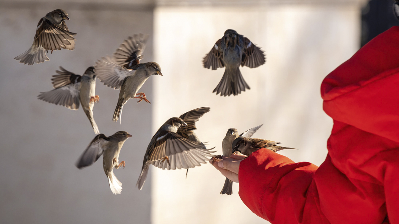 Photo: Cédric VT, Unsplash.