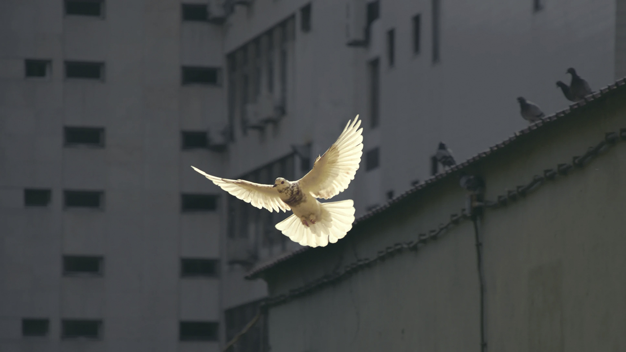 Photo: Sunguk Kim, Unsplash.