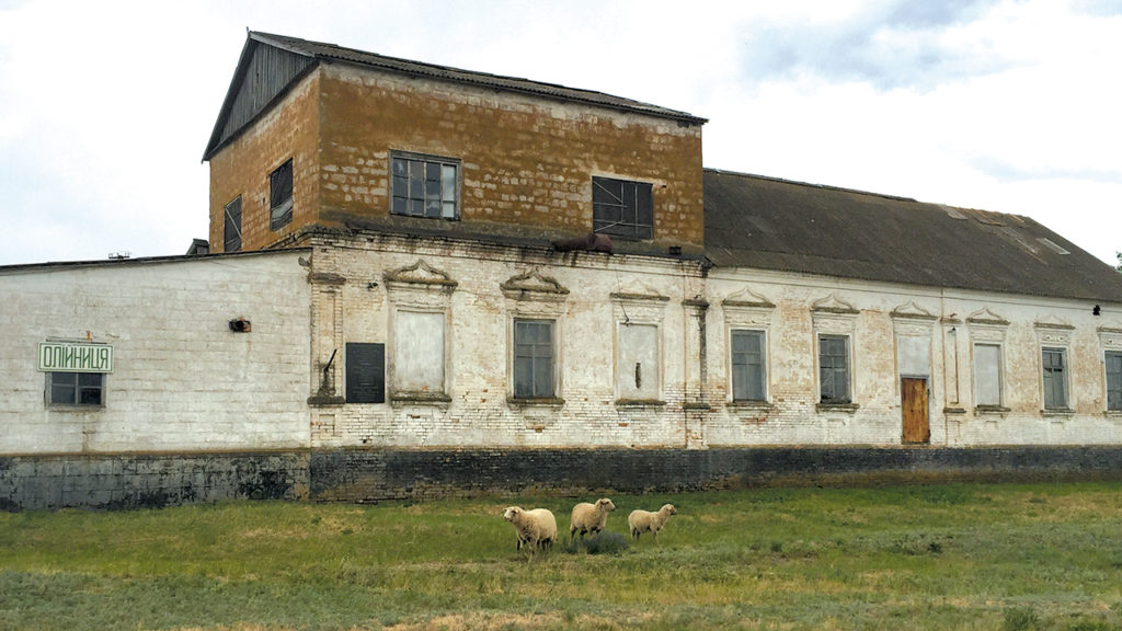 Sheep graze beside the oldest Mennonite Brethren church building, dedicated in 1883, in the former Mennonite village of Rückenau, Ukraine. It is no longer a church. A plaque commemorates the 150th anniversary of the MB denomination, founded in 1860 during a spiritual revival among Mennonites in Ukraine. — Paul Schrag/Mennonite World Review