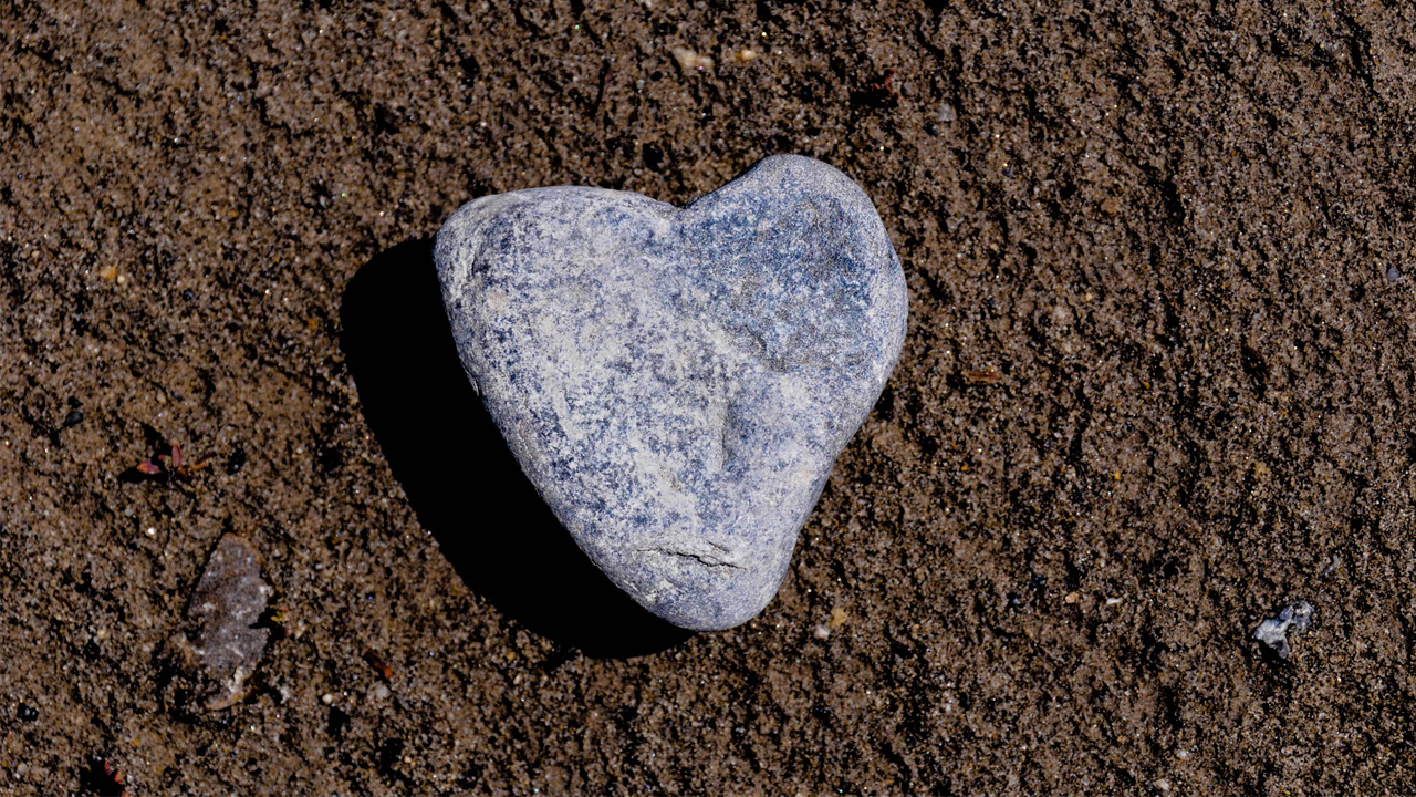 Photo: Toni Reed, Unsplash.