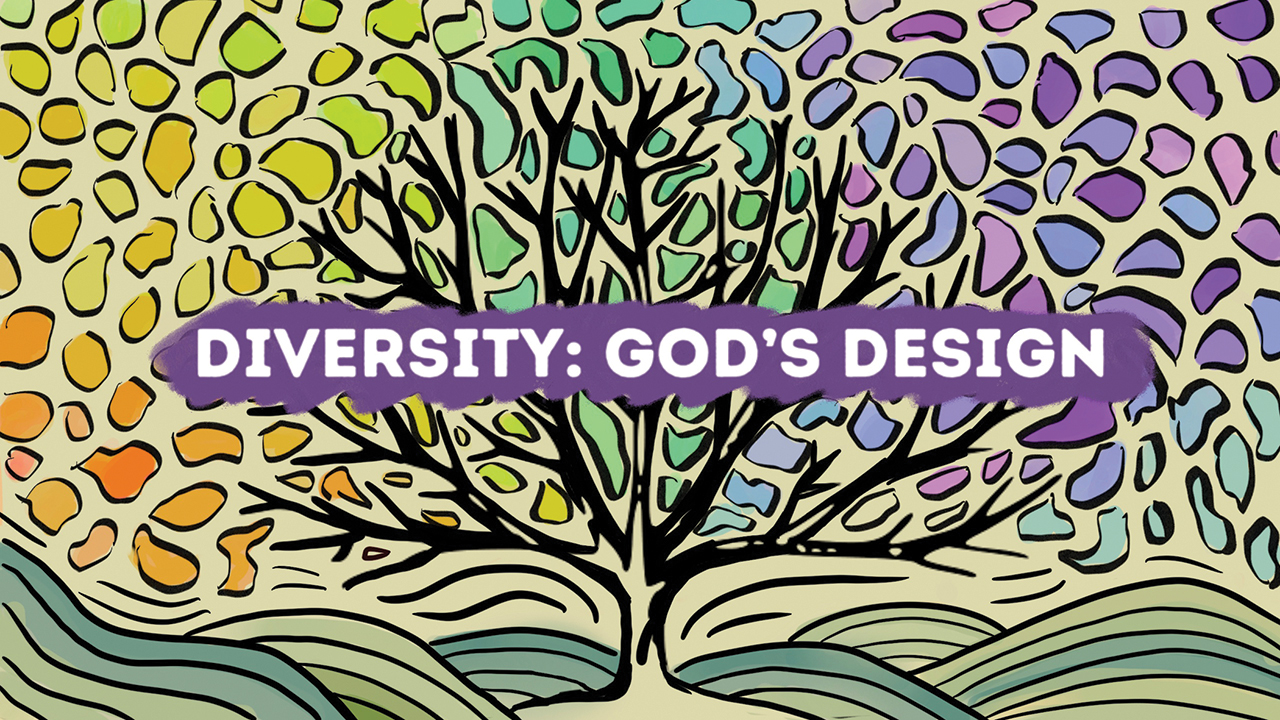 Diversity: God's Design — Mennonite Church USA