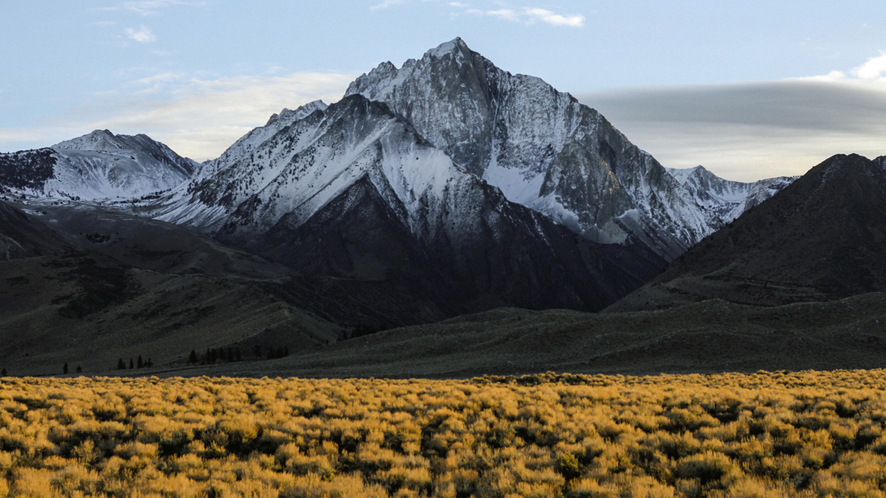 Photo: Jeremy Bishop, Unsplash.