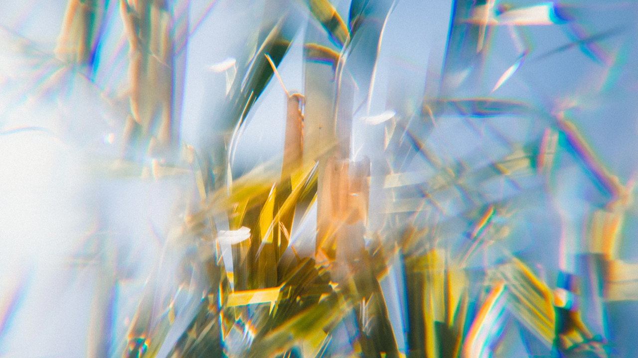 Photo: Jakob Owens, Unsplash.