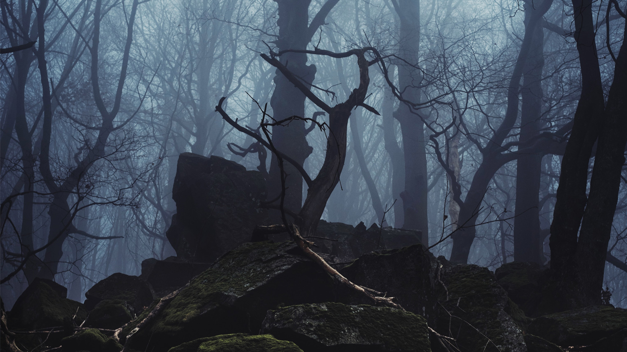 Photo: Norbert Buduczki, Unsplash.