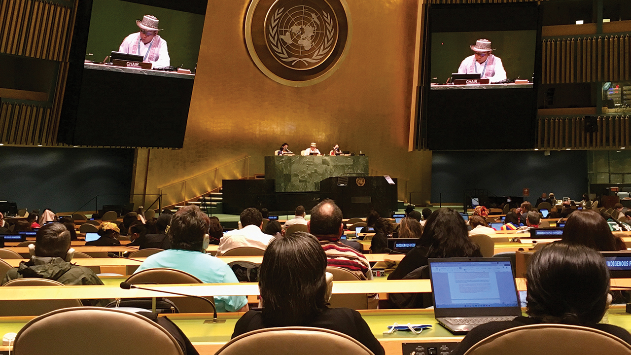 Darío José Mejía Montalvo, of the Zenú Peoples of San Andrés Sotavento, presides over the 21st session of the U.N. Permanent Forum on Indigenous Issues in New York. — Lars Åkerson