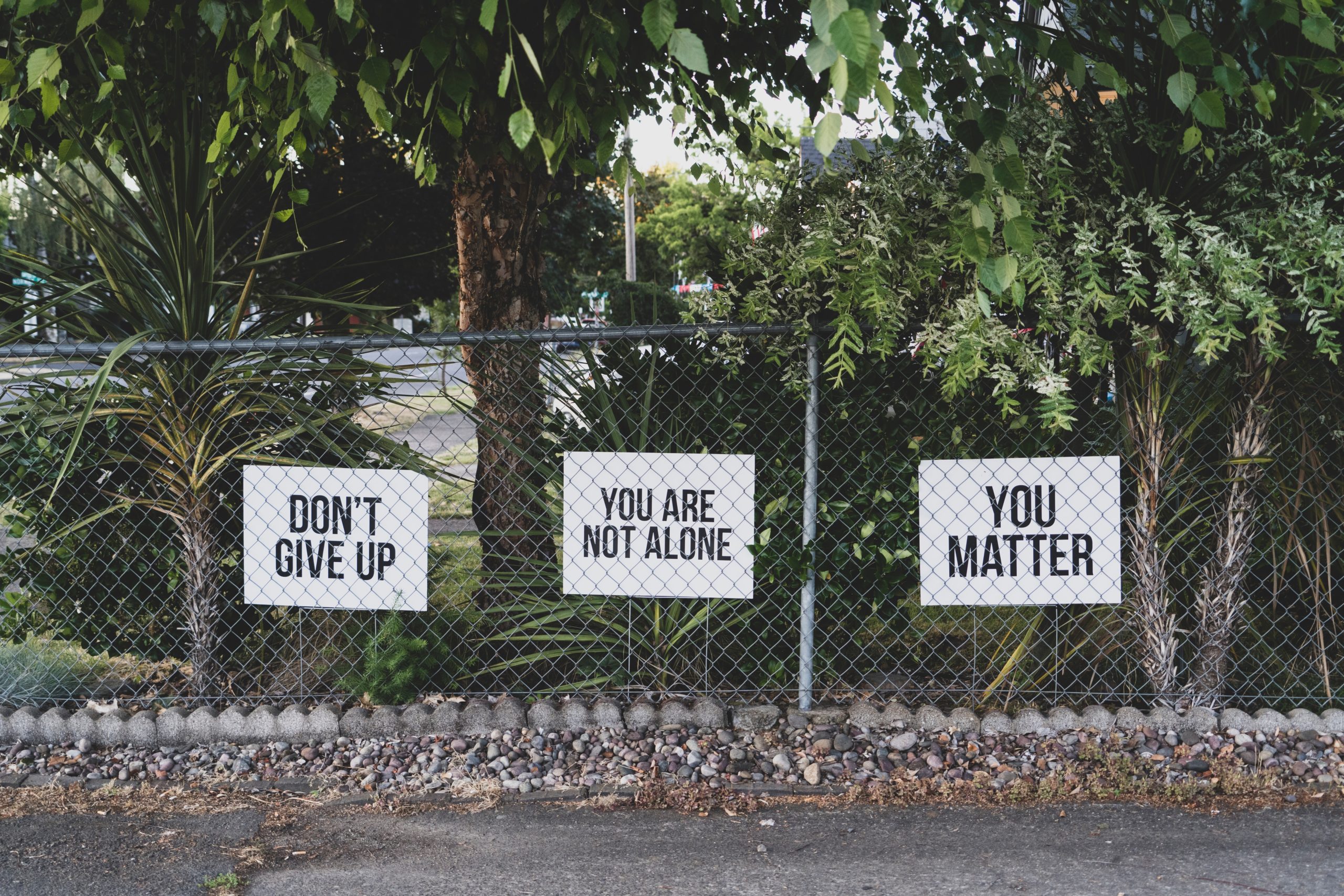 Photo from unsplash.com.