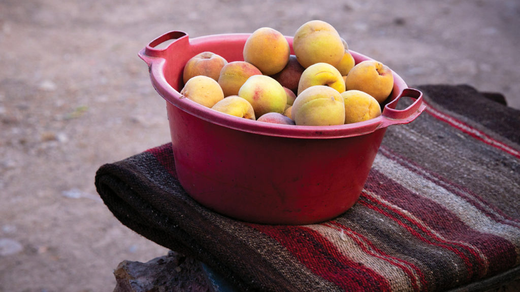 Peaches served in Chucarasi, Bolivia. MCC and PRODII staff visited while peaches were in season. A side effect of climate change is that fruit is being grown at altitudes where it was previously impossible. — Annalee Giesbrecht/MCC