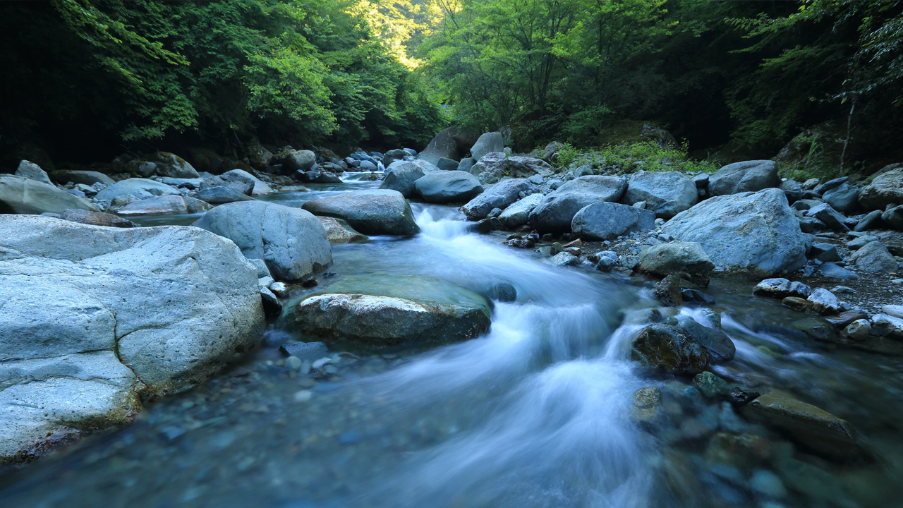 Photo: Kazuend, Unsplash.