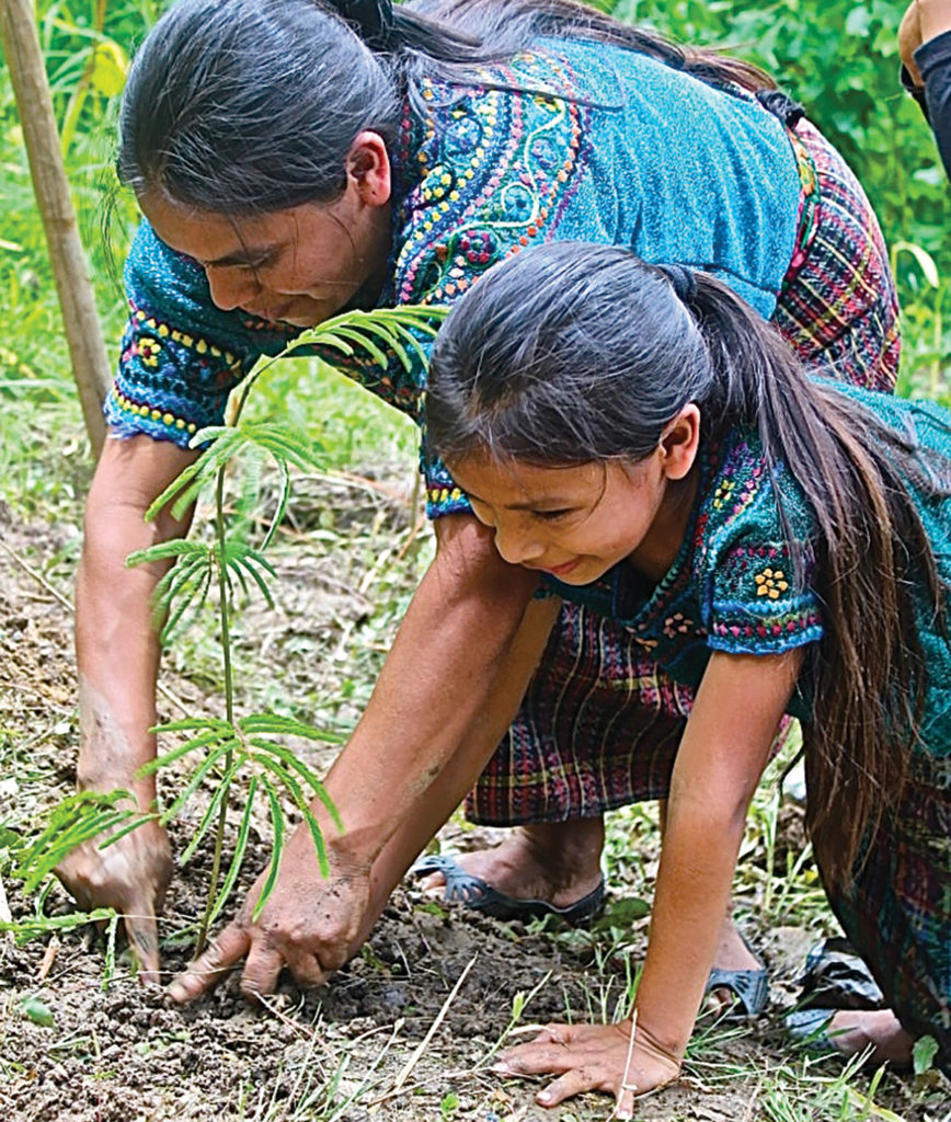 A mother and daughter plant a tree seedling in Cubulco, Guatemala. More than 35,300 trees were planted in July with a project funded by Mennonite Men in collaboration with Ecumenical Project for International Cooperation. — Armando Tomás
