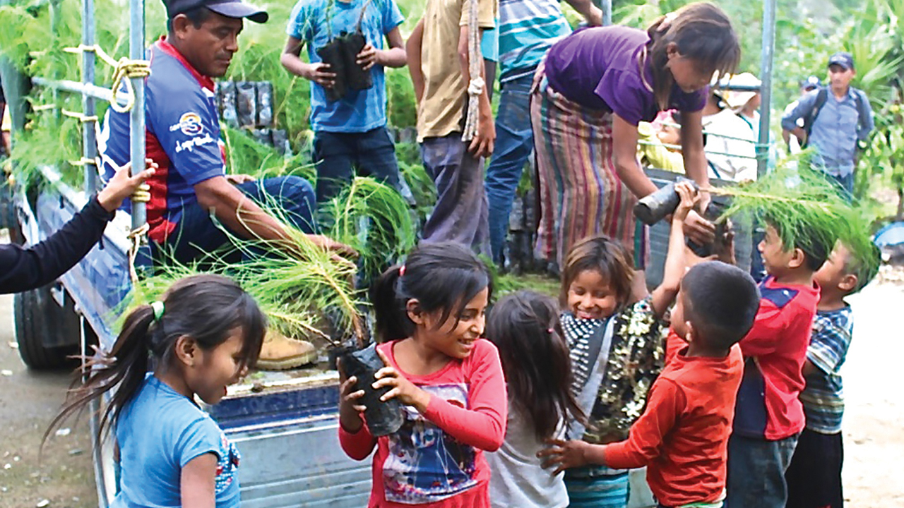 Children help with a tree distribution in Cubulco, Guatemala. — Armando Tomás