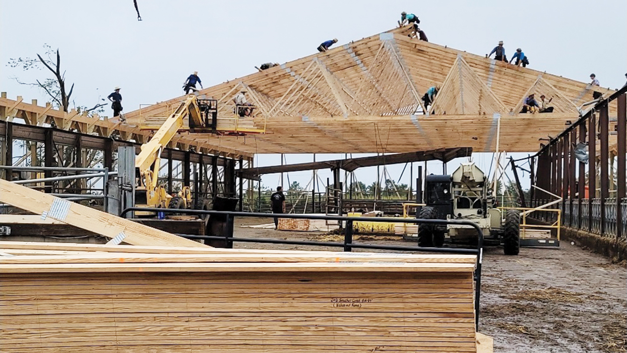 Amish men place rafters on a birthing pen at Wellacrest Farms. — Wellacrest Farms