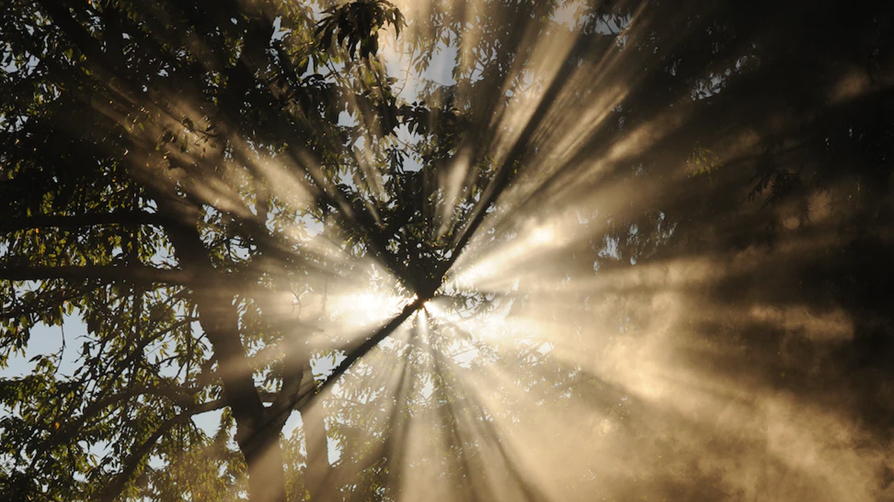 Photo: Wonderlane, Unsplash.