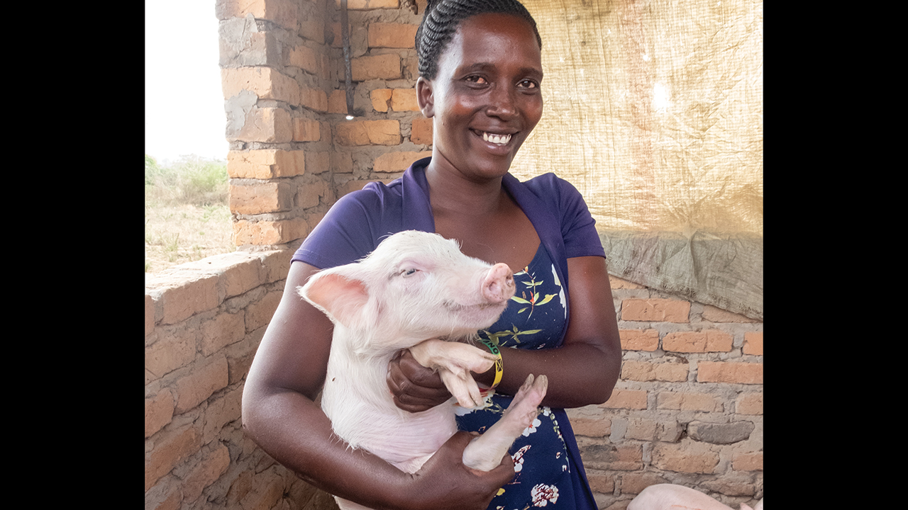 Mary Ilero was able to turn one pig and its litters of piglets into opportunities to make money through selling her sewing, making nut butter and raising cows. — Matthew Lester/MCC