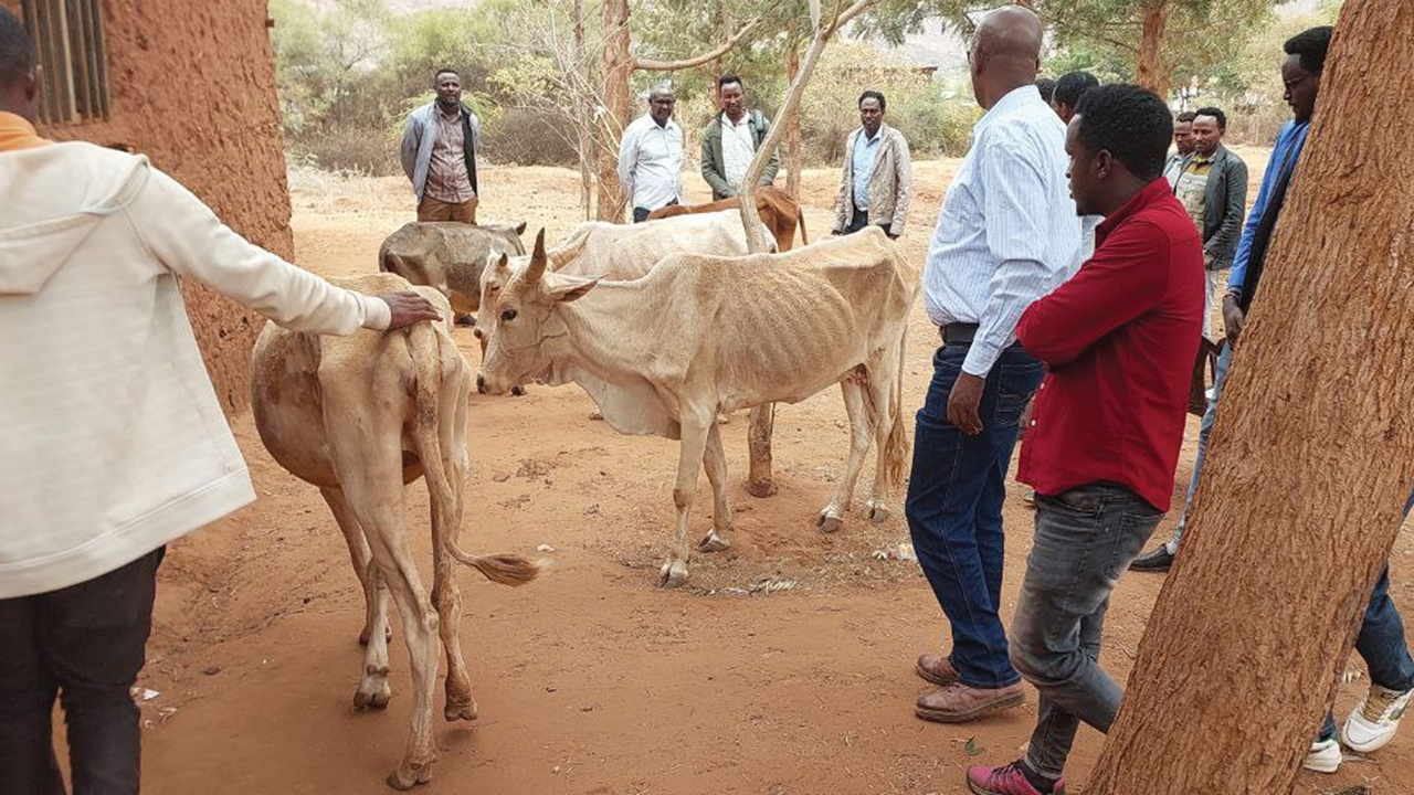 Meserete Kristos Church President Desalegn Abebe Ejo, center, visits the Borena zone of Oromia state in Ethiopia in March. — Meserete Kristos Church
