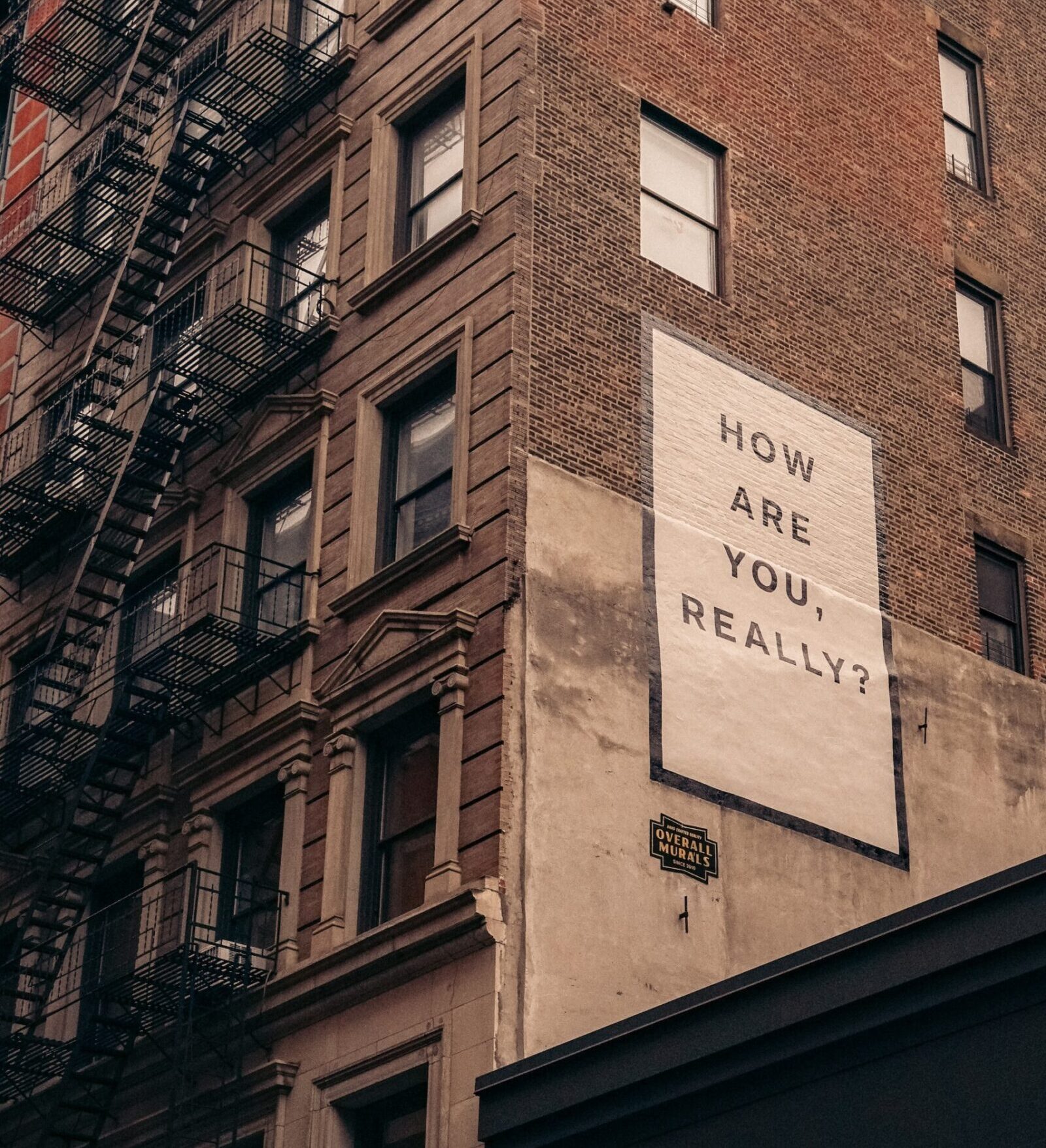 Photo by Finn on Unsplash.