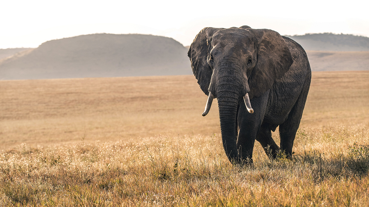 David Clode/UNSPLASH