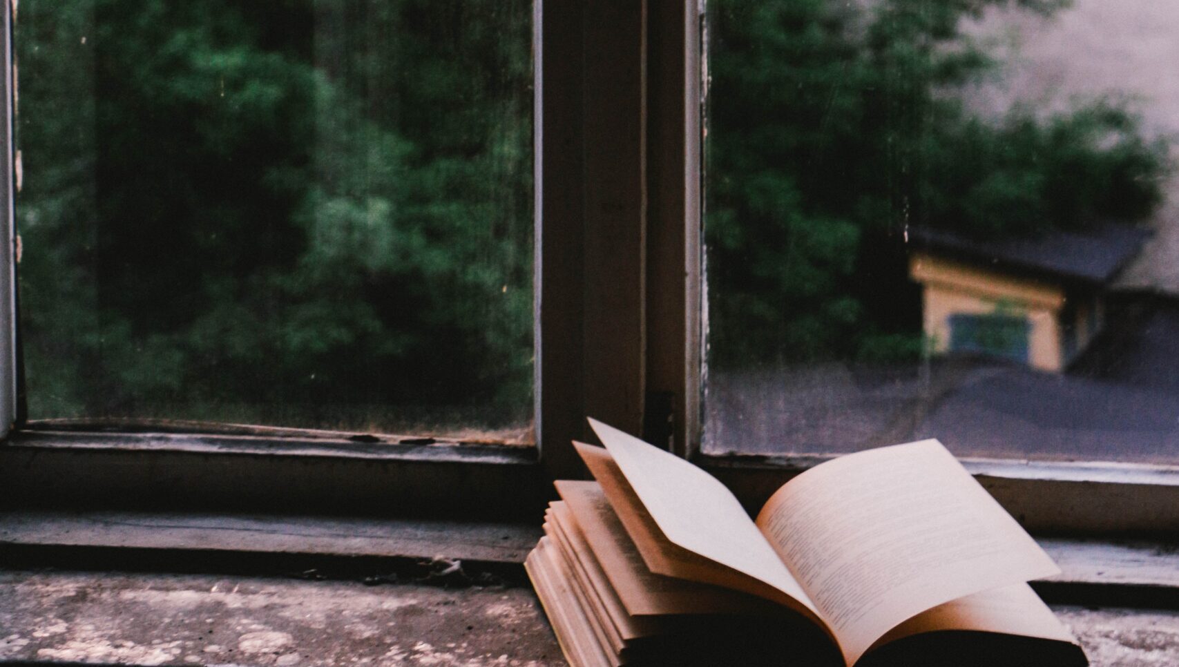 Open book in front of window from unspash.com.