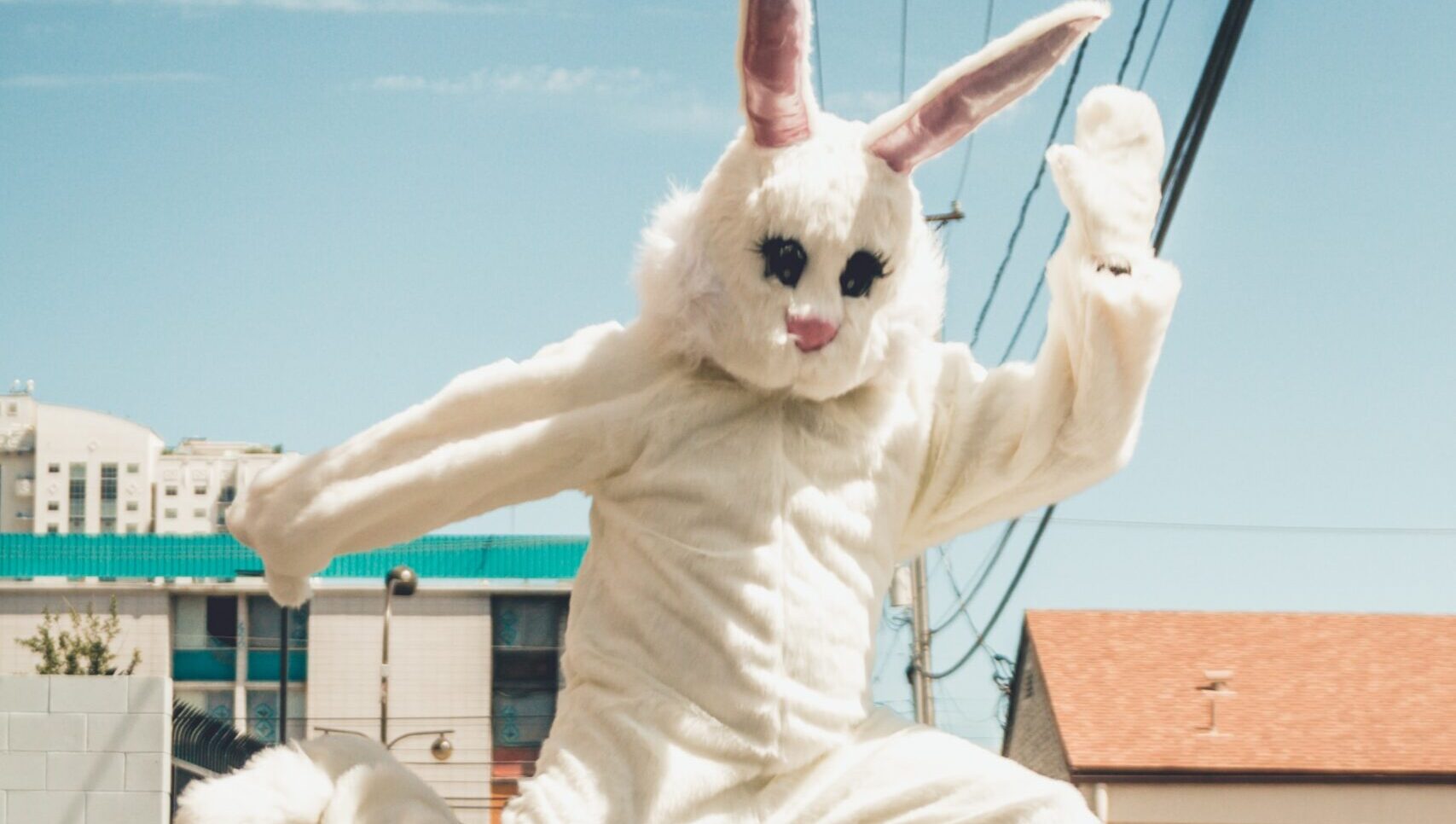 Easter bunny jumping in the air from unspash.com.