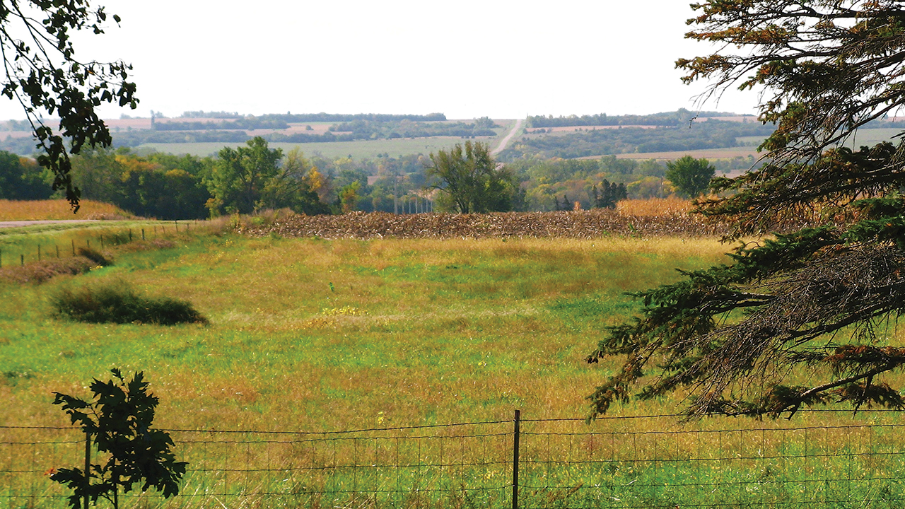 Rural South Dakota near Freeman, the author’s home community. — S. Roy Kaufman
