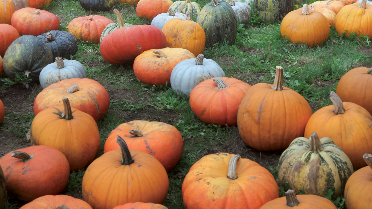 Photo — David C. Garen